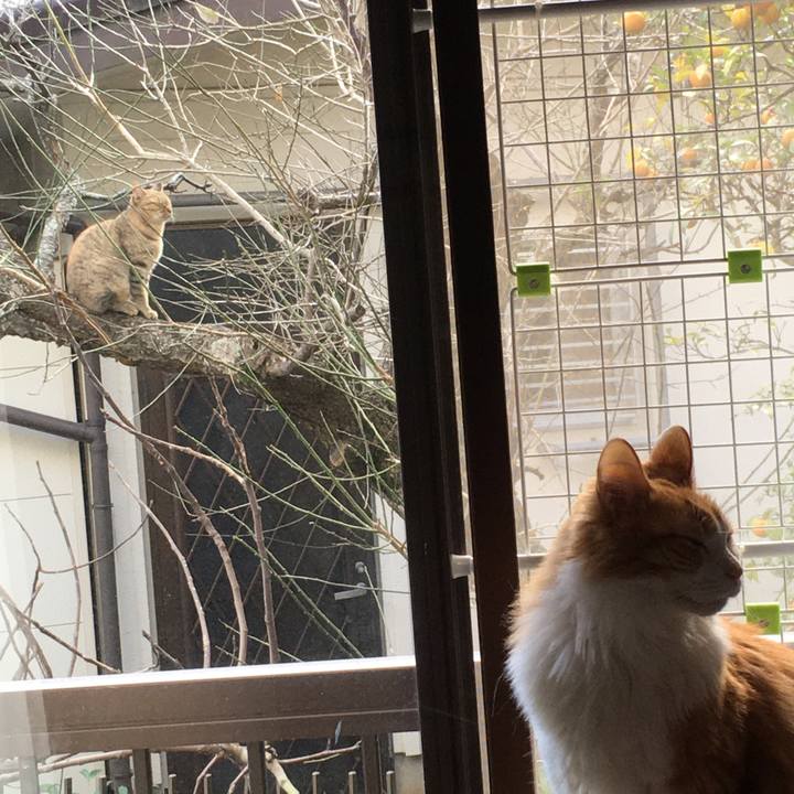 269341ec 84cd 49dc 9cb1 8e1300eb1855 1576295377885