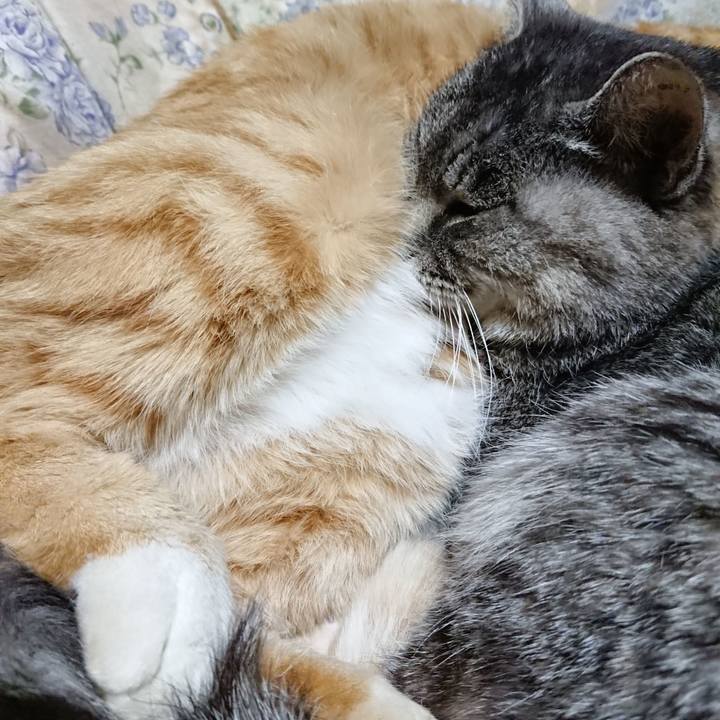 26935a32 889d 4ff2 b7bb 0eed86a3076f 1575378502013