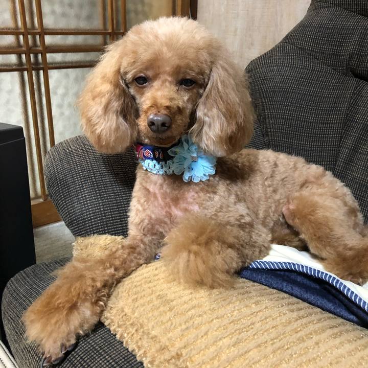 26935f4b 30c3 4386 9984 38d782aa4ec9 1636959557581