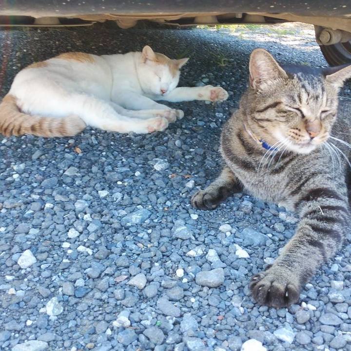 26936573 bd6e 4569 86c0 a5f2ff2d5393 1599184631942