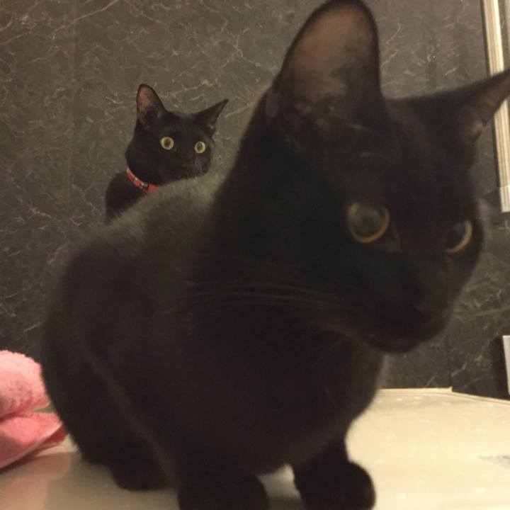 2693849b 1dea 407d bd25 515ea80ac3d9 1518616835643