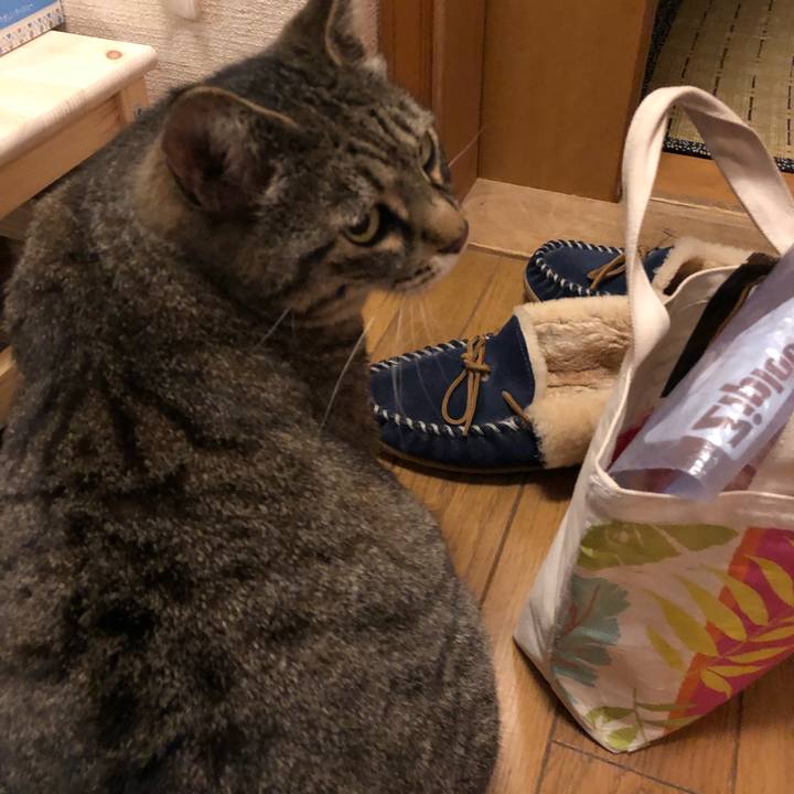 2693c185 ddc7 42f0 96f7 41de87428203 1526714972683