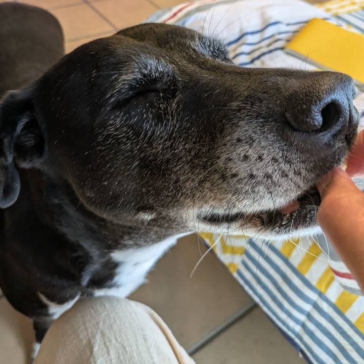 2693c8d7 c06e 436a bdd3 452017675251 1758502472246