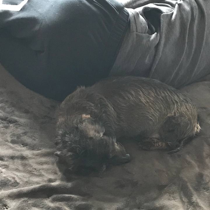 2693d278 7d8b 4339 930a 21ad22ebcce0 1553312354048