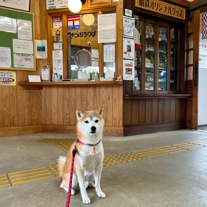 2693da42 c7f6 4e44 9f96 fd3643531ebd 1734337304517