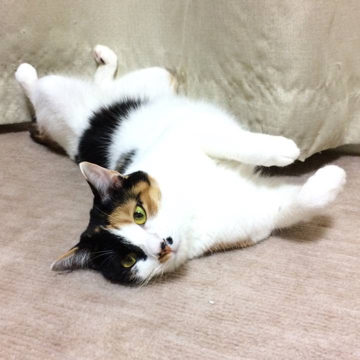 2693db4e a272 451b 82eb 87295decd808 1525312334885