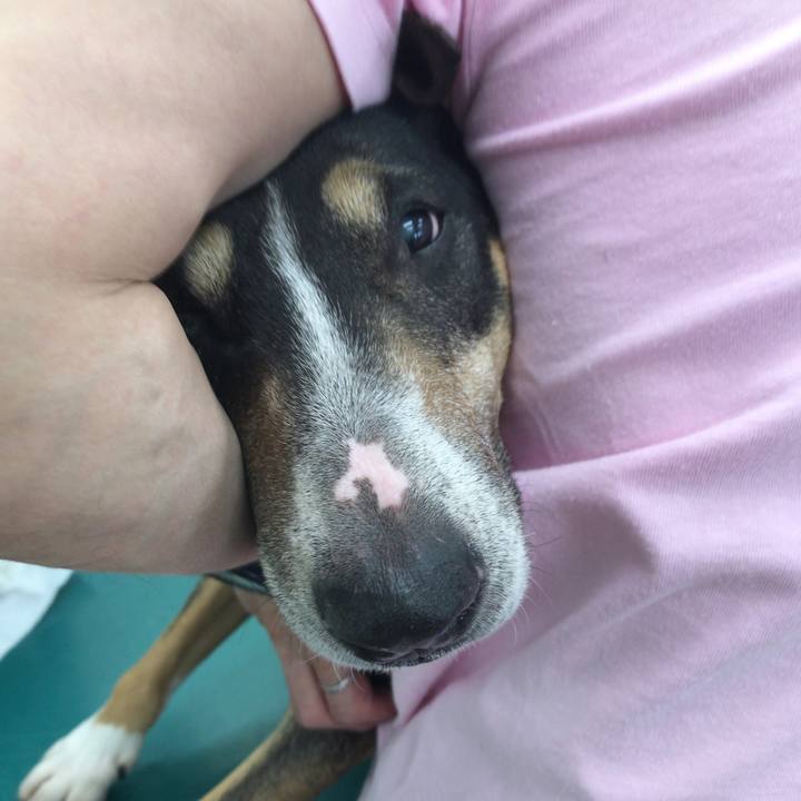 2693fd77 b4fc 4d8d 87bc 67edd76ad57c 1524975431789