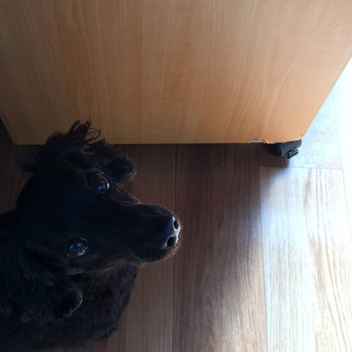 2694076e 6969 49a0 a625 a52e0606a3e6 1515707535134