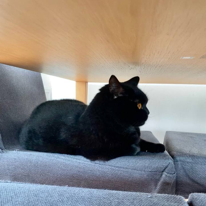 269446c6 9859 45b3 b539 c07e47120fb4 1635736646499