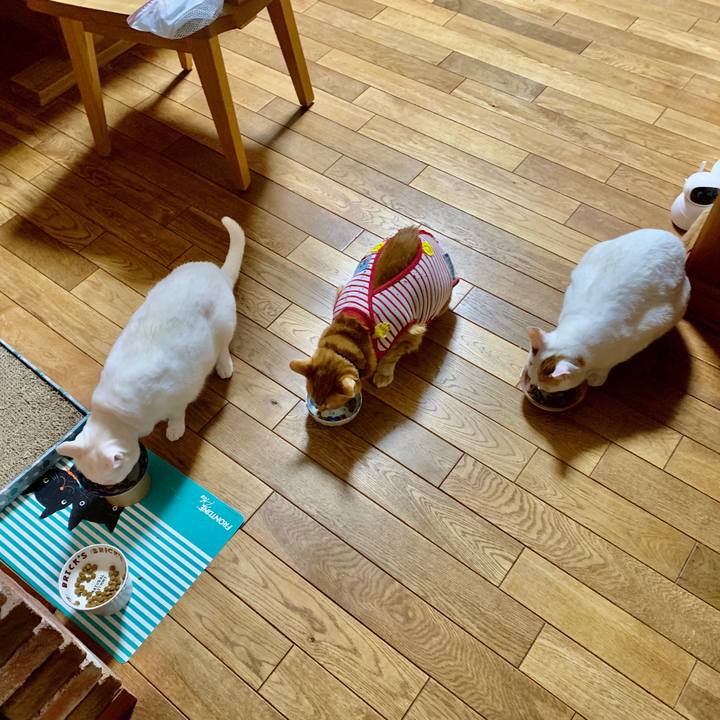 26947a42 8ac0 4a89 b1e6 a6a69f6259e8 1585170576279