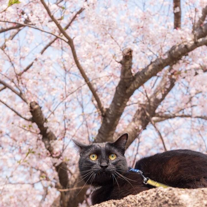 269482a8 5901 403e b106 e34060724d55 1554731771563