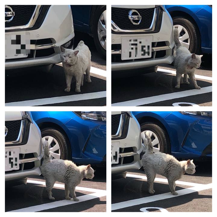 2694f4b3 0568 4c66 a2d8 d26c138d9a12 1524209398093