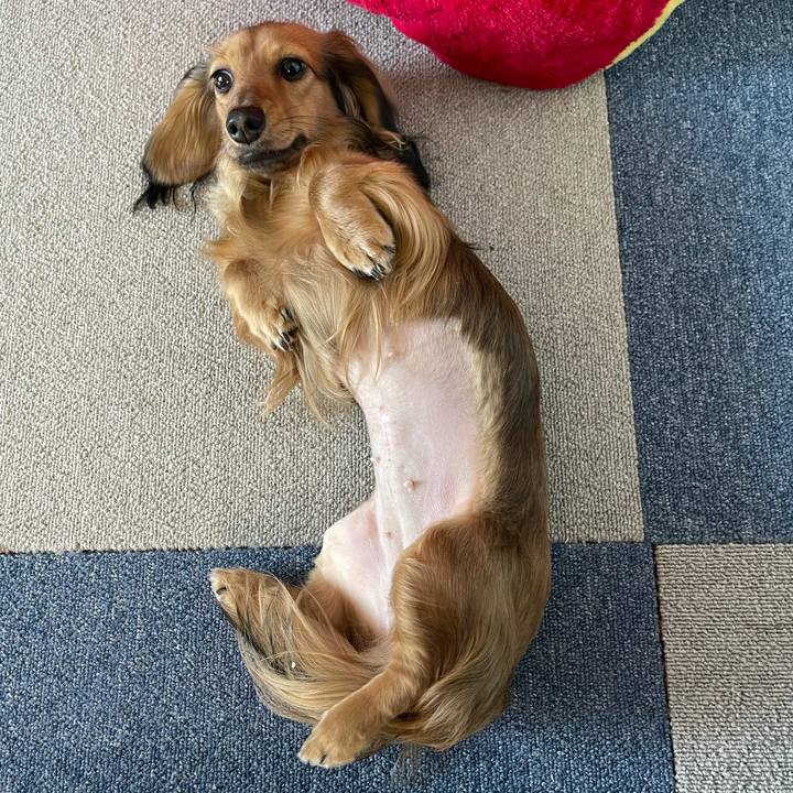 269537aa 726a 4c8d 8f81 6a1b1541d2f7 1635029407684