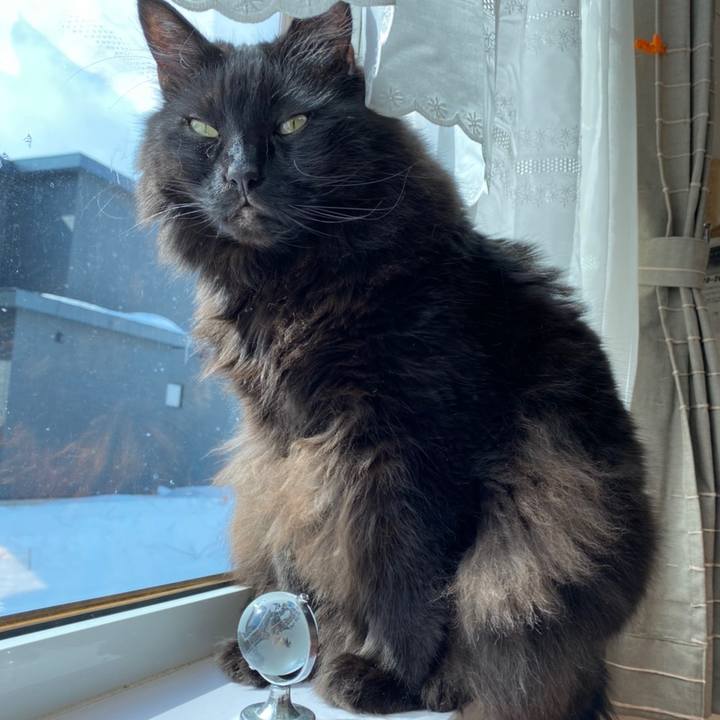 26956b88 b4dd 4d33 9fa1 74a3871a3acf 1615189713865