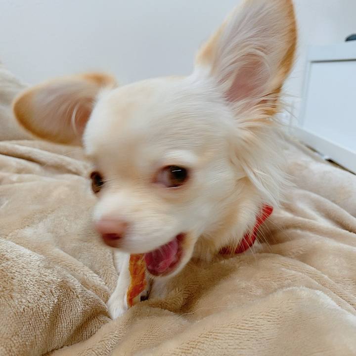 26956c6b 70ee 4893 b94c c21eba62646b 1609480995666