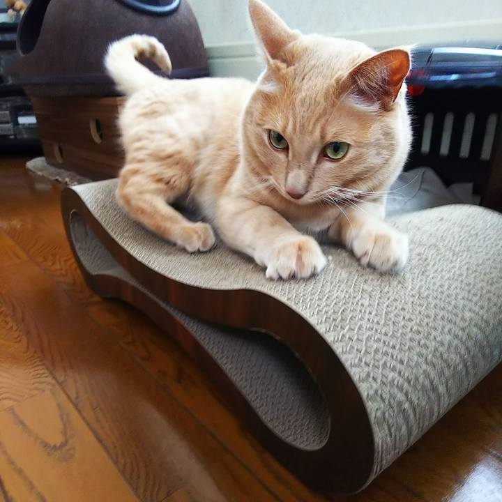 26959243 b453 4840 b973 07ef0fe6f514 1628417694330