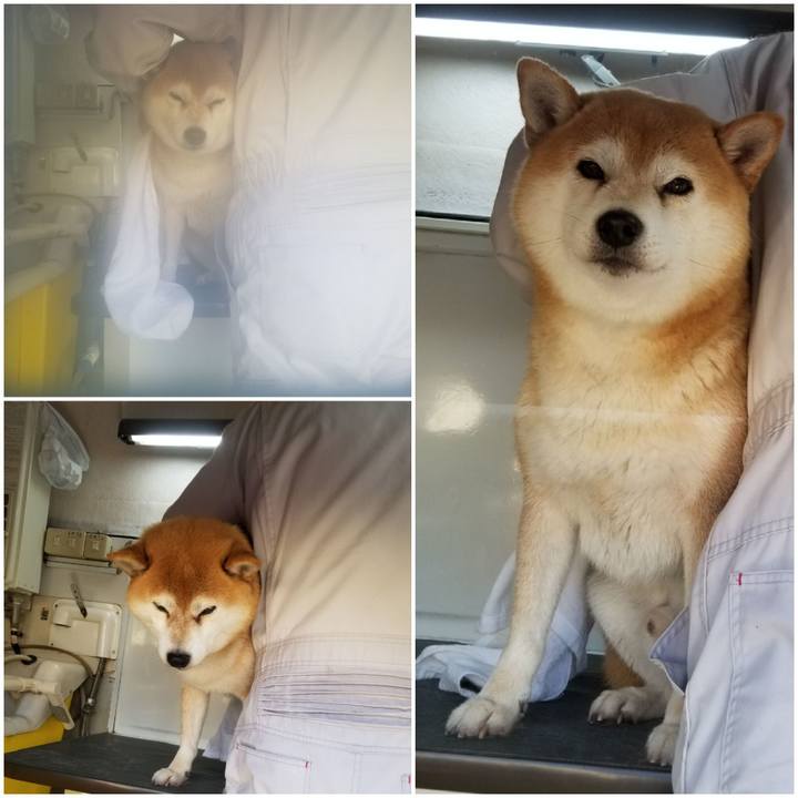 269595e2 fd6d 4e4d b580 369c9eabca9d 1577255596945