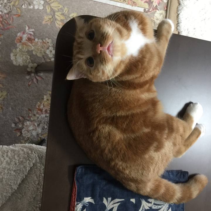 2695a685 fd0c 4df3 b962 16e5e6bee453 1508193190195