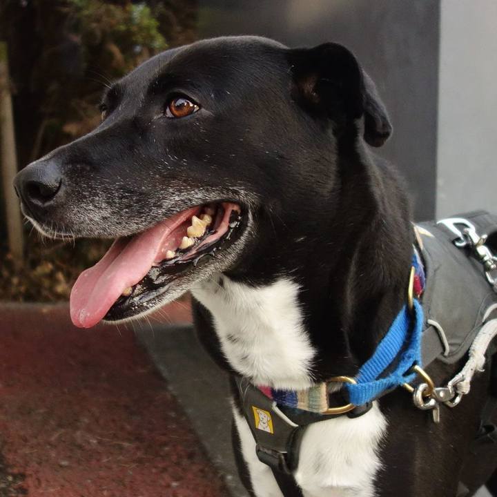 2695b472 2010 4ad4 9a3a 7d3cca10ee29 1656933176186