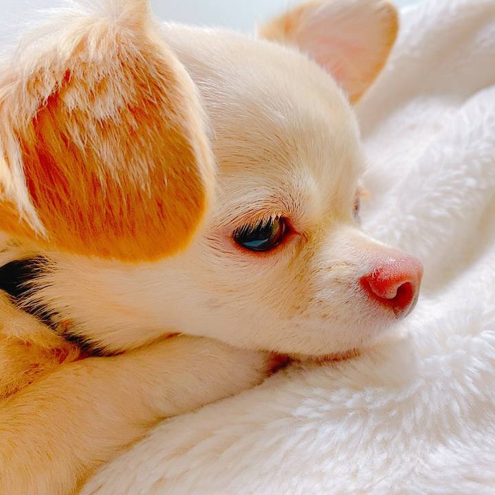 2695bf2e 9050 4142 9b3a 63ff58b7c805 1630470162623