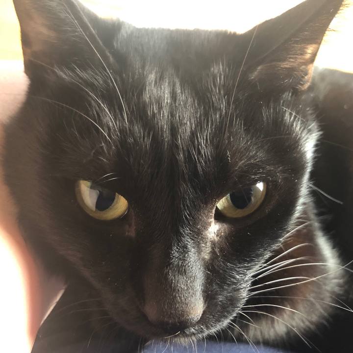 2695e487 0f19 4068 921c 2f55cff10b3a 1668810755787