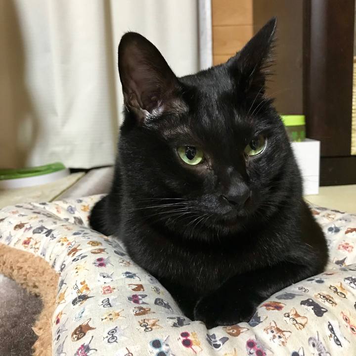 2695f839 2798 4a68 9b2b a312585803a3 1540736367222