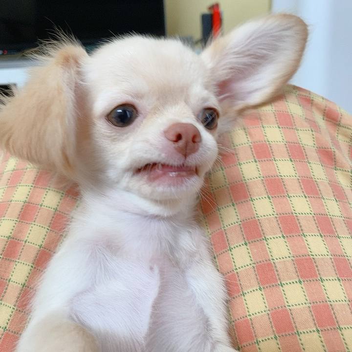 269619ec 3147 4a9d ad46 989f83702041 1591682711419