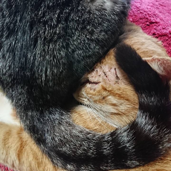 26963c9c 2f10 4e71 8892 4dd56d3b904a 1550988383145