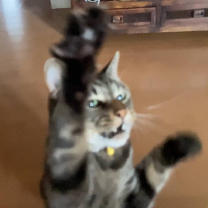 26964ba9 22c8 490c 87c8 f6a3a6f45eb4 1626666373148