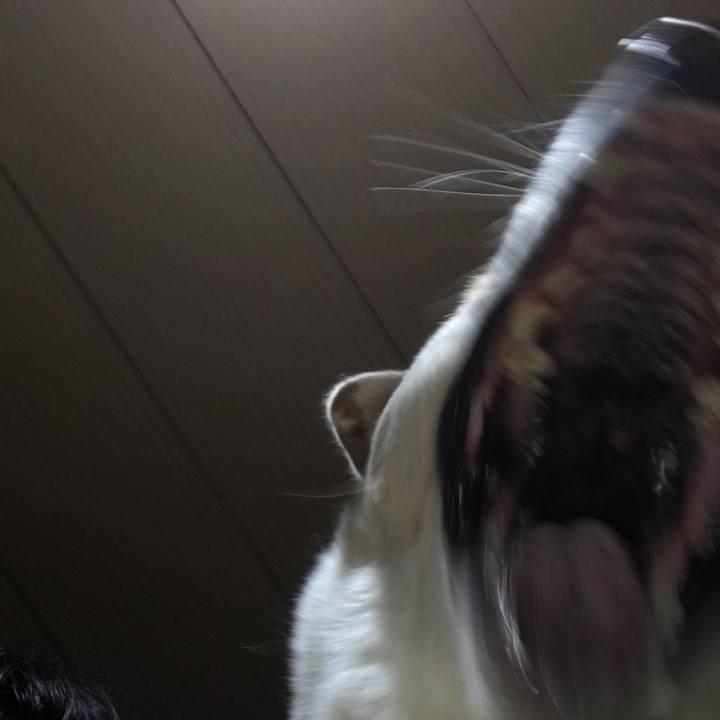 26965beb 30af 4bd3 8000 8b9216a7d3cc 1508164268085