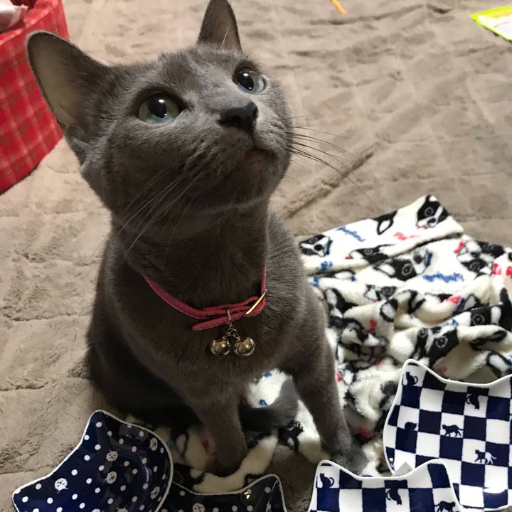 26966f64 feaa 40a1 a23e 90364e66bc8b 1550208923907