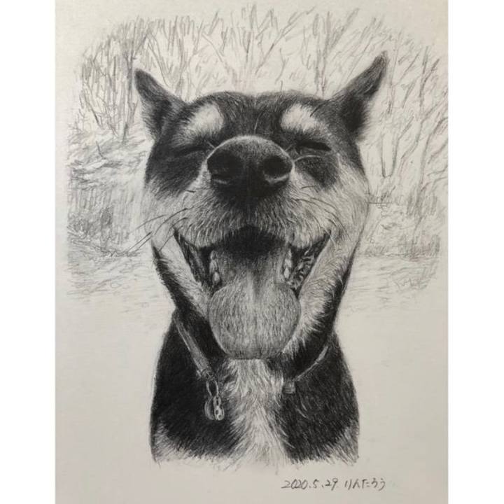 26976ab0 0fa2 42f1 9417 ea2dafe88e3d 1590735610999