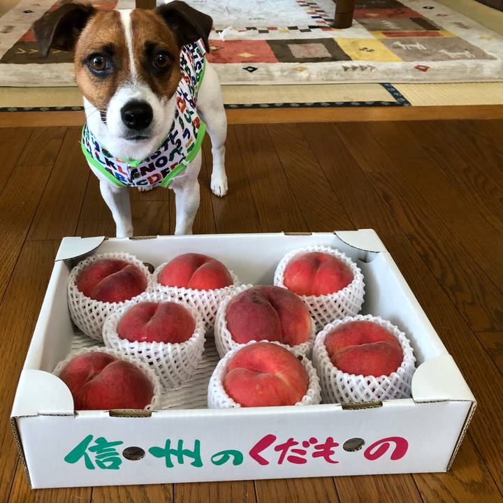 2697741e a6e4 4721 a436 d89f9237c6a7 1598419127411