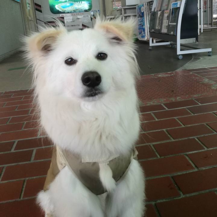 26977aa3 e75f 4411 8d3a 33911313d19c 1521531576968