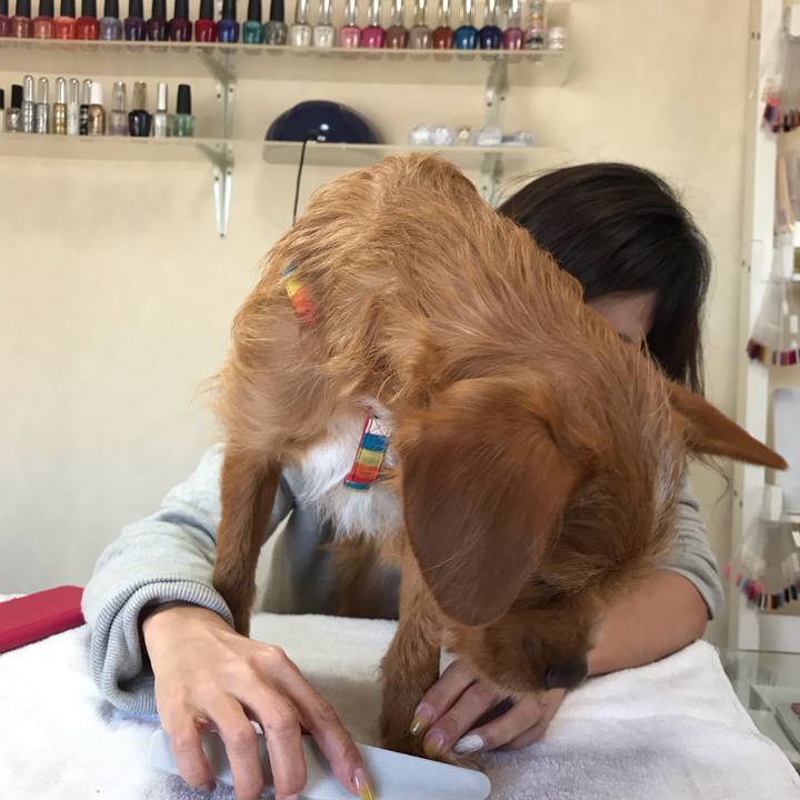 26979bb5 f89b 49cd afeb 489f7ec88fc7 1548654301400