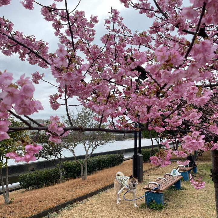 2697c12a 7ea1 4784 b82b 677a14023e07 1708690292679