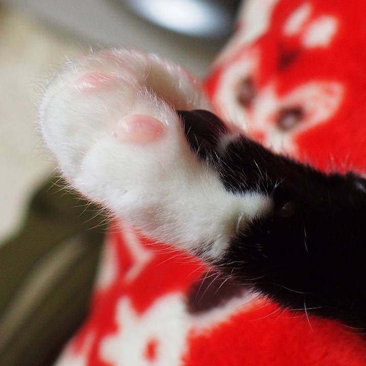 2697f3bb 4cd7 4854 919c cd8c8d8034e2 1514866517664