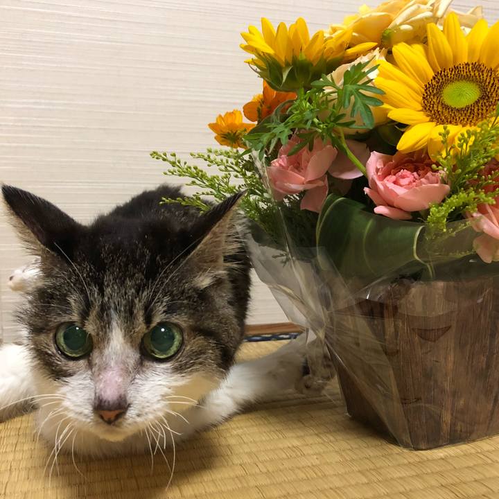 2697fd9b bd69 4dc4 b3e2 414a49aaf404 1659305269292