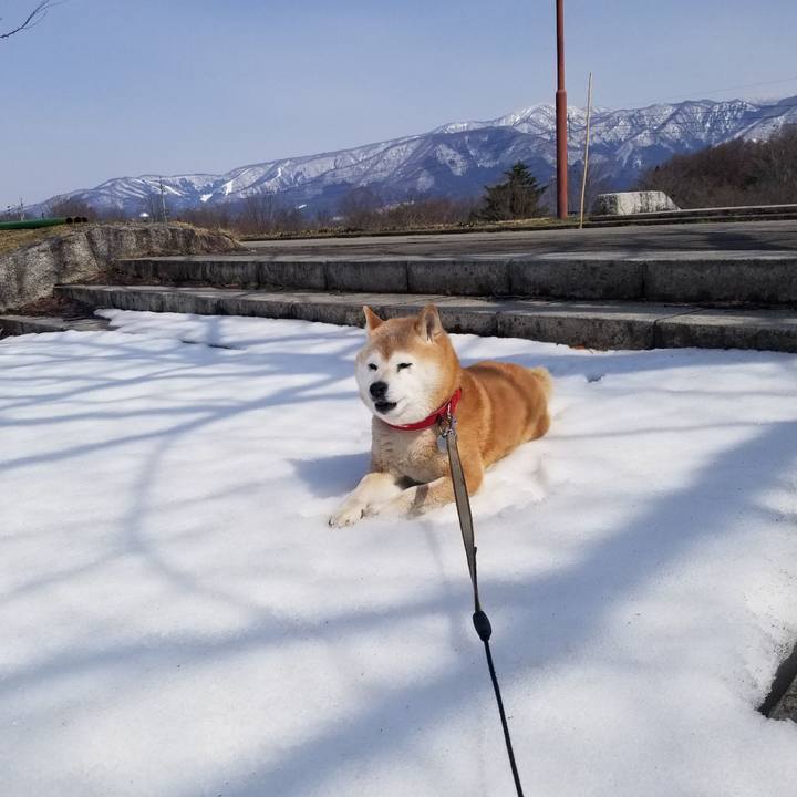 26982e87 5d35 4028 bd8d e0192548a5b9 1710822613476