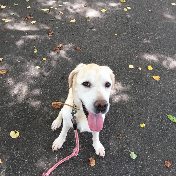 2698401e 6872 4930 ae2a d7ef33611edb 1535859408540