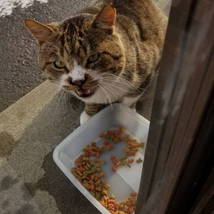 26985109 c7b0 412a a0fd 58d1958ae984 1511532971367