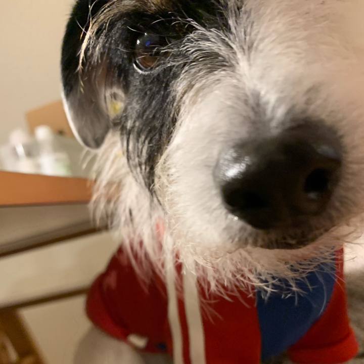 26985894 1cd2 4078 9854 9fbeed41b069 1643018631798