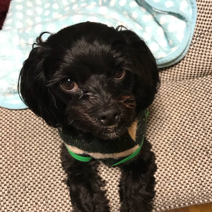 26989a87 b2bc 4669 ae14 afab7989fba5 1515845099339