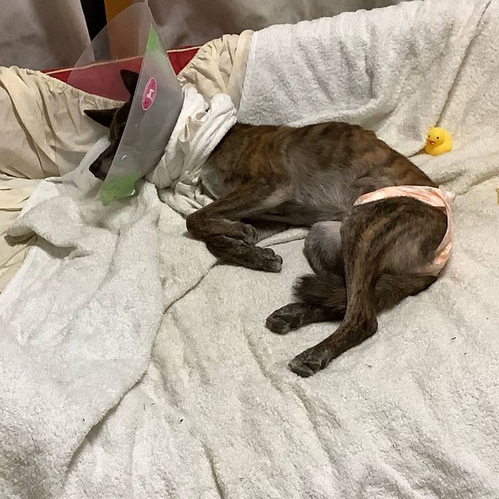 2698a279 1bf7 4ffb b8c1 034caa474d26 1699453995103