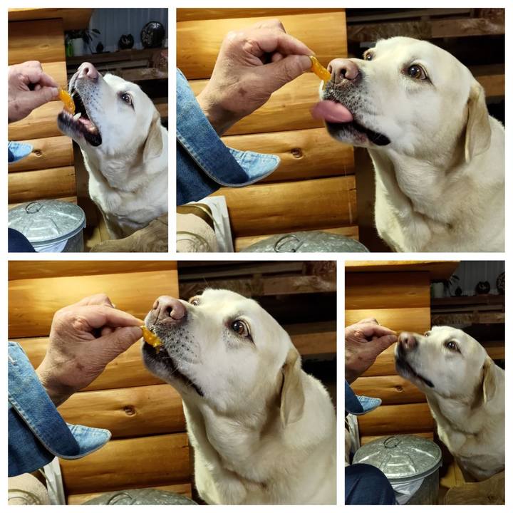 2698ab50 a049 485f 973b b0a21c3c39bf 1706660608403