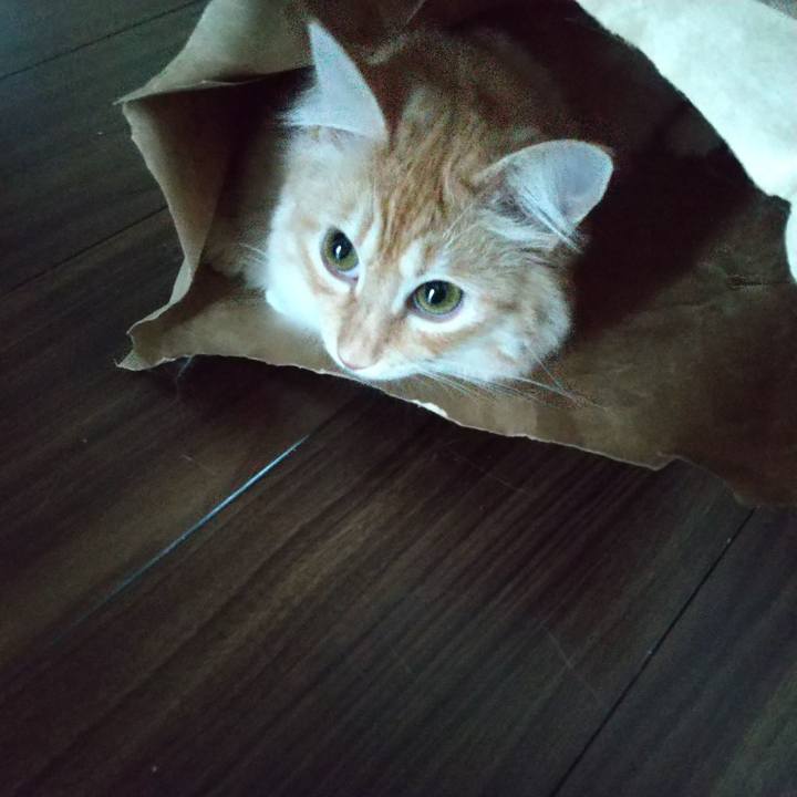 2698bb76 030e 4ca8 b77a daf5295e241e 1632692748538