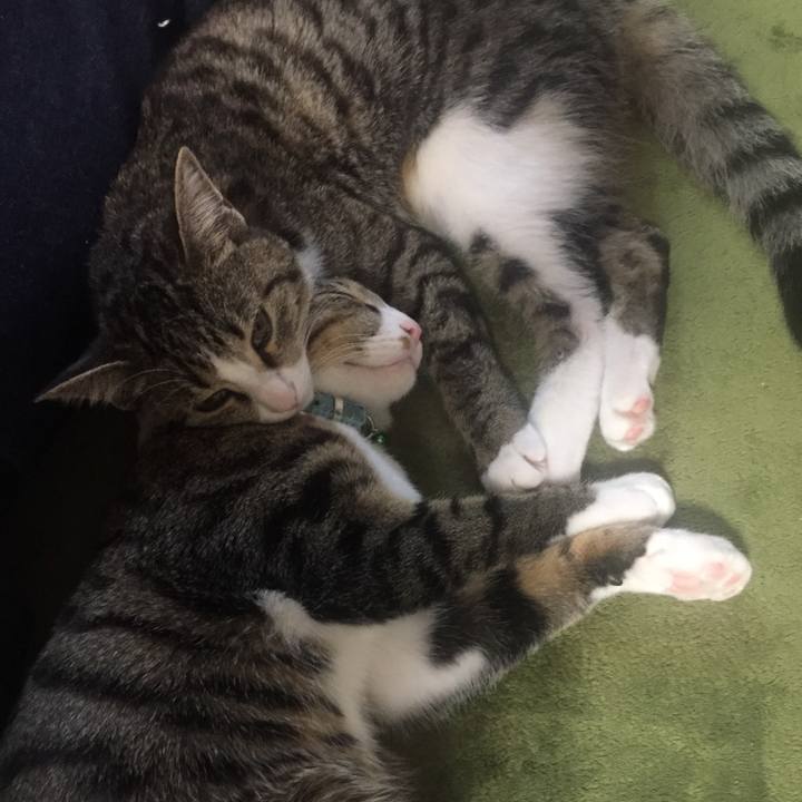 2698bd05 e717 40b2 b6fc 497713d3efd1 1659603172242