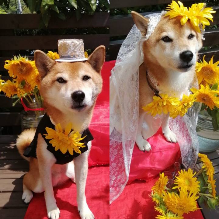 2698c013 66fa 4920 b603 49dfbec604c4 1693279472167