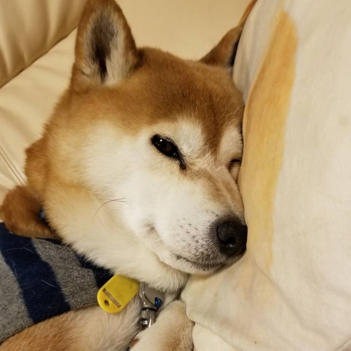 2698dd34 9060 404c 8445 53e41b7dfa4e 1580458659006