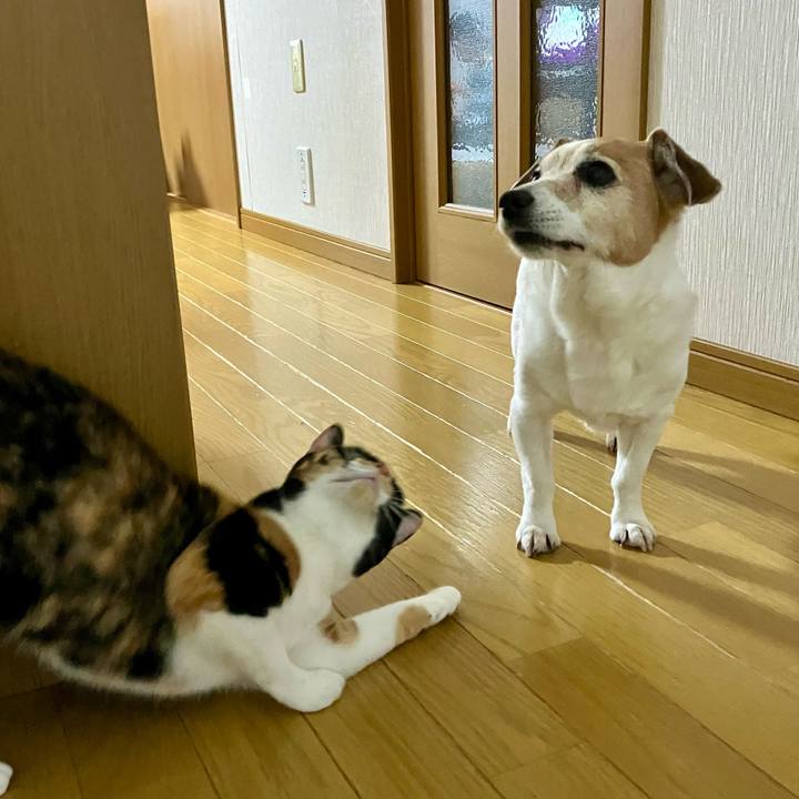 269900b0 0f9f 4a71 9660 85a70a4cc052 1716473424227